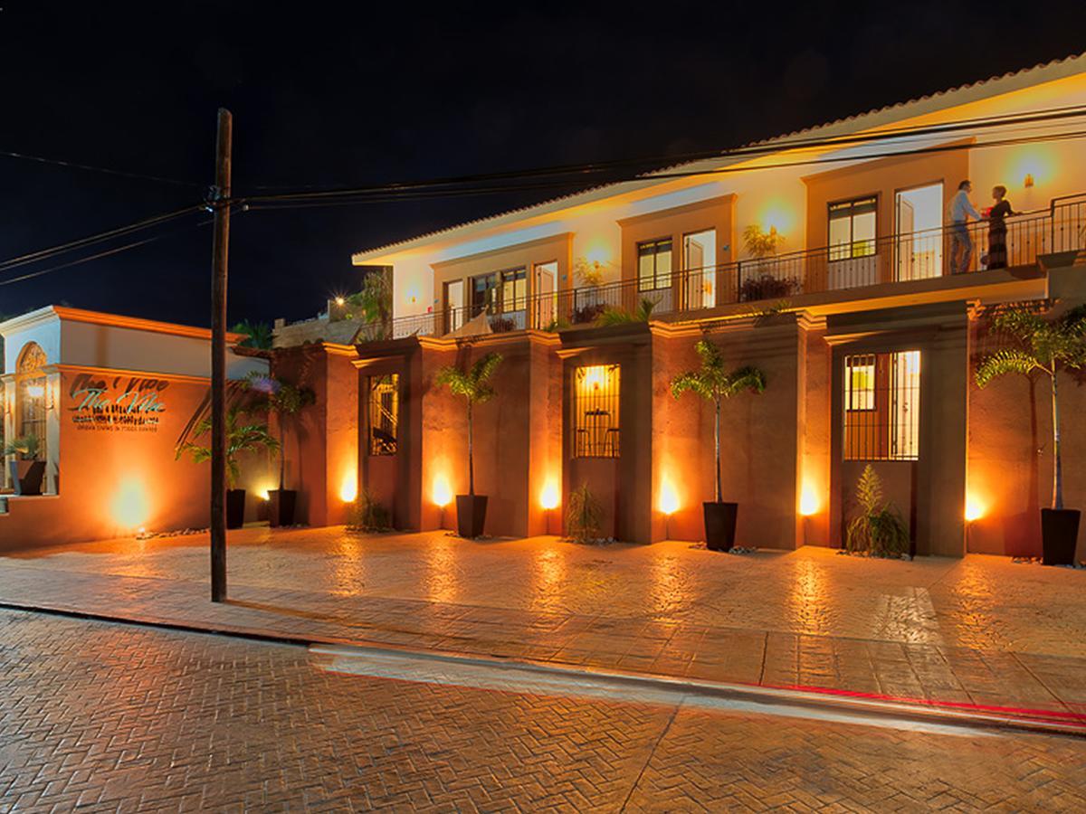 The Vibe Boutique Bed & Breakfast (Adults Only) Todos Santos Εξωτερικό φωτογραφία
